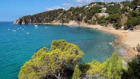 costa brava beautiful virgin beach with transparent turquoise waters lush vegetation of pine trees and rocks yellow sand few people mediterranean panoramic views tossa de mar cove llevad?
