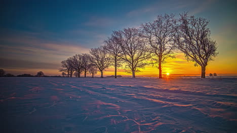 amanecer sobre el bosque de invierno