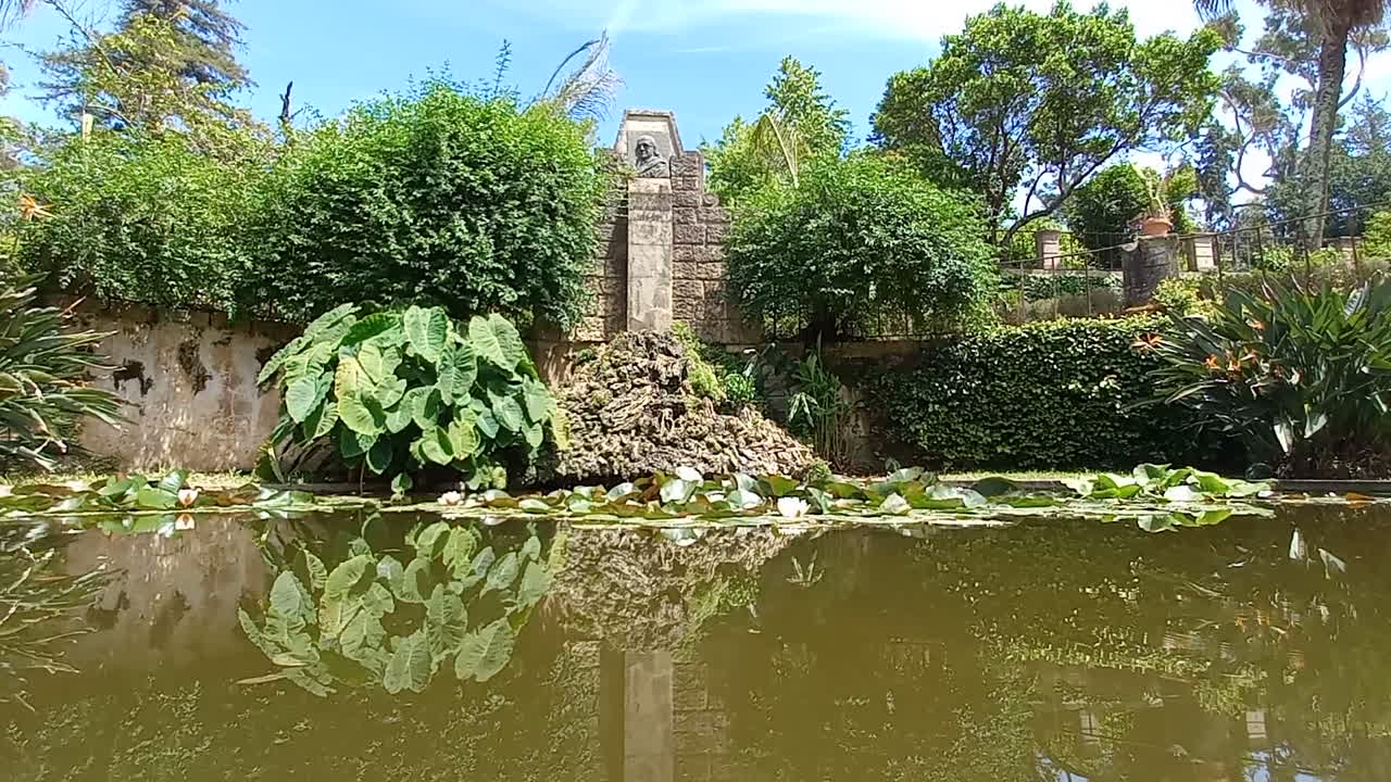 lago en un jardín con una estatua en el fondo y hojas reflejadas en el agua