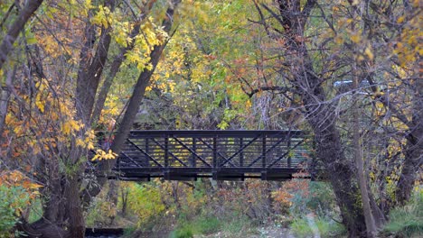 runner passing a pedestrian bridge