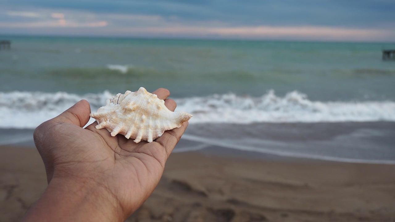 Hand Holding Seashell on Beach with Ocean Waves in Background