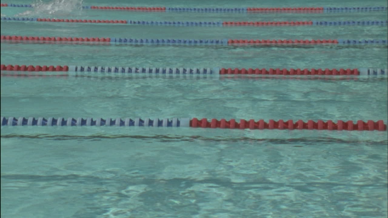 Competitive swimmers race across a pool