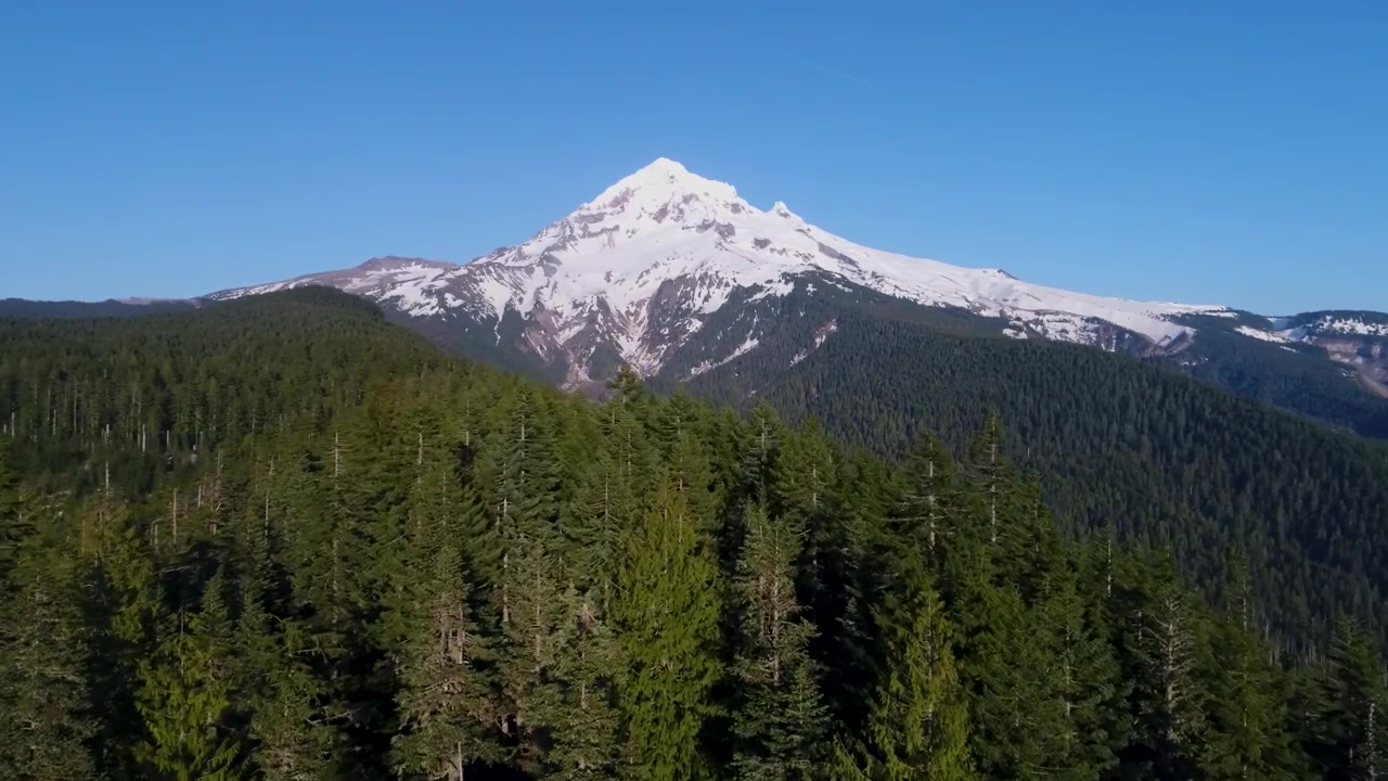 Un drone cinematografico si alza attraverso la chioma di una foresta alpina, poi si muove verso l'alto per rivelare il Monte Hood, l'iconico vulcano attivo innevato dell'Oregon che si erge imponente sopra la natura selvaggia delle Cascate.