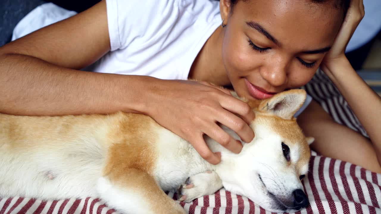 사랑하는 개 주인이 함께 침대에 누워있는 사랑스러운 애완동물을 만지는 클로즈업, 소녀는 동물을 만지고 털을 어 사랑과 부드러움을 표현합니다.