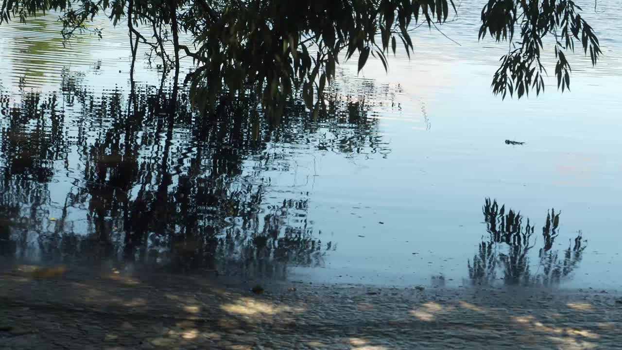 In the Mapledurham meadows, and Purley on River Thames. A beautiful summer day in the meadows and the River Thames for walkers and boaters.
