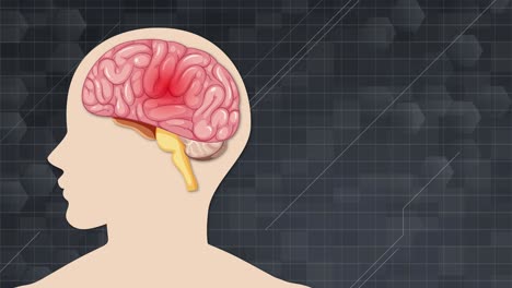 animation illustrates atherosclerosis development in brain arteries, highlighting plaque buildup and blood flow obstruction