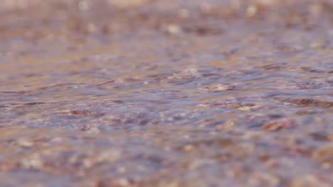 cepillo de dientes viejo de plástico varado en la playa de arena siendo arrastrado por la corriente y las olas