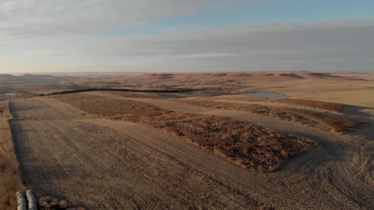Campo de Milo - Campo de Sorgo Pronto Para a Colheita em Dakota do Sul