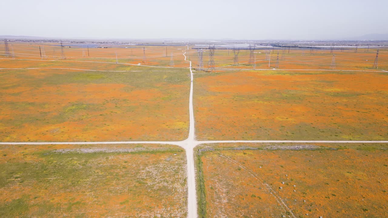 바람이 부는 시골 도로를 달리는 자동차와 함께 봄에 남부 캘리포니아에서 오렌지색과 노란색 꽃의 슈퍼 꽃 초원의 공중 드론 타임  ⁇ 프