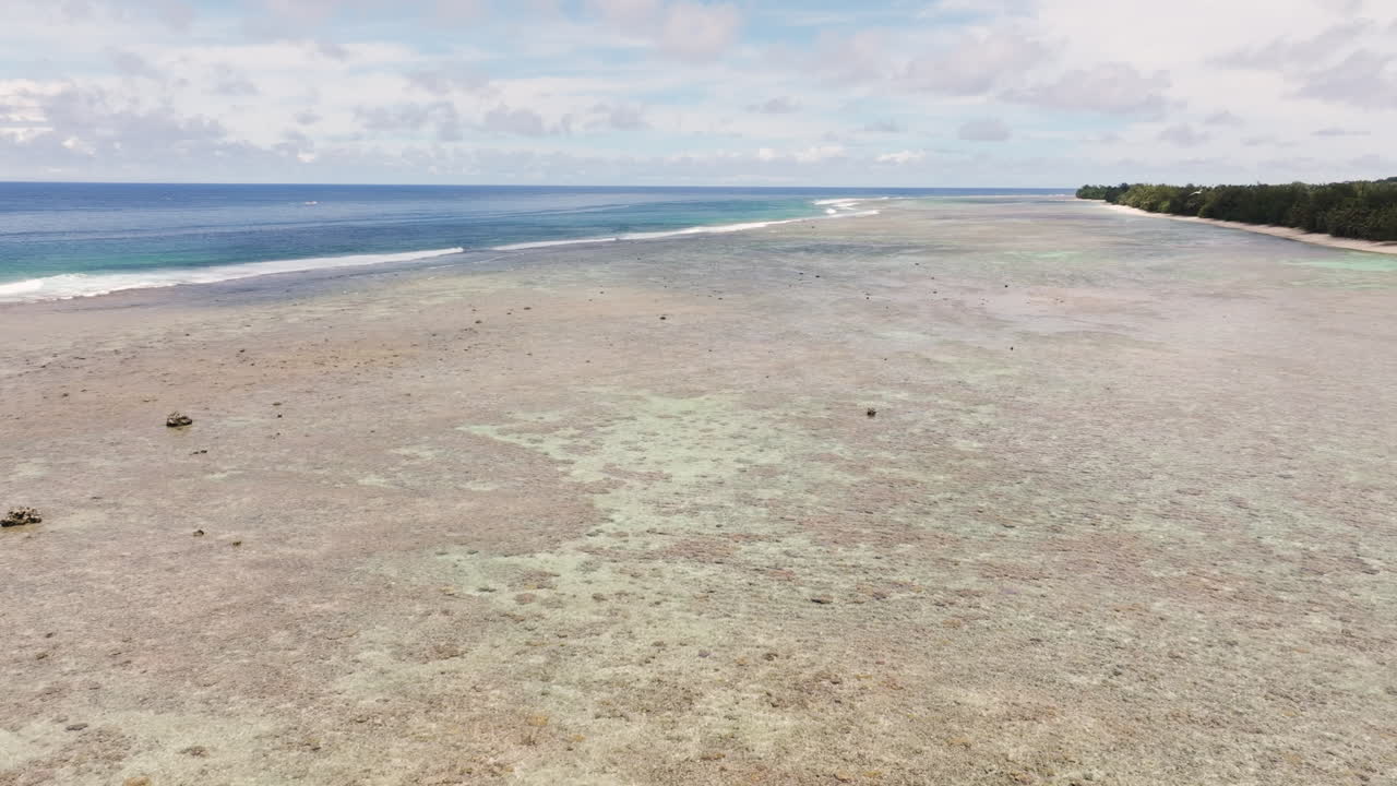 Aerial tilt up as white frigate bird soars above crystal clear shimmering shallow waters at Aroa Beach, South Pacific, Rarotonga Cook Islands