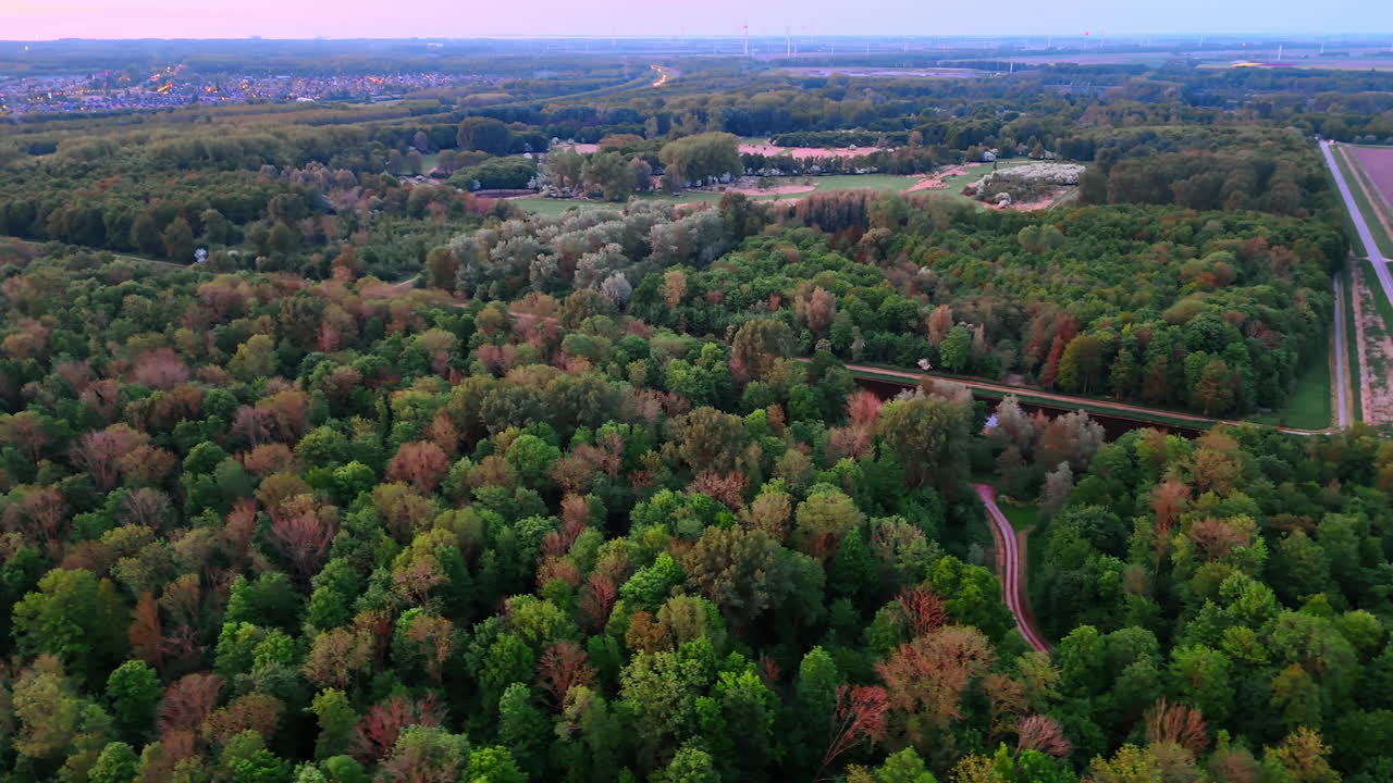 Forest at sunset. A vast forest extends beneath a colorful sunset with scattered trees, paths, and open fields in the distance