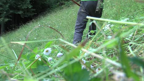 agricultor cortando hierba con una guadaña vieja, tiro trasero estático en el suelo