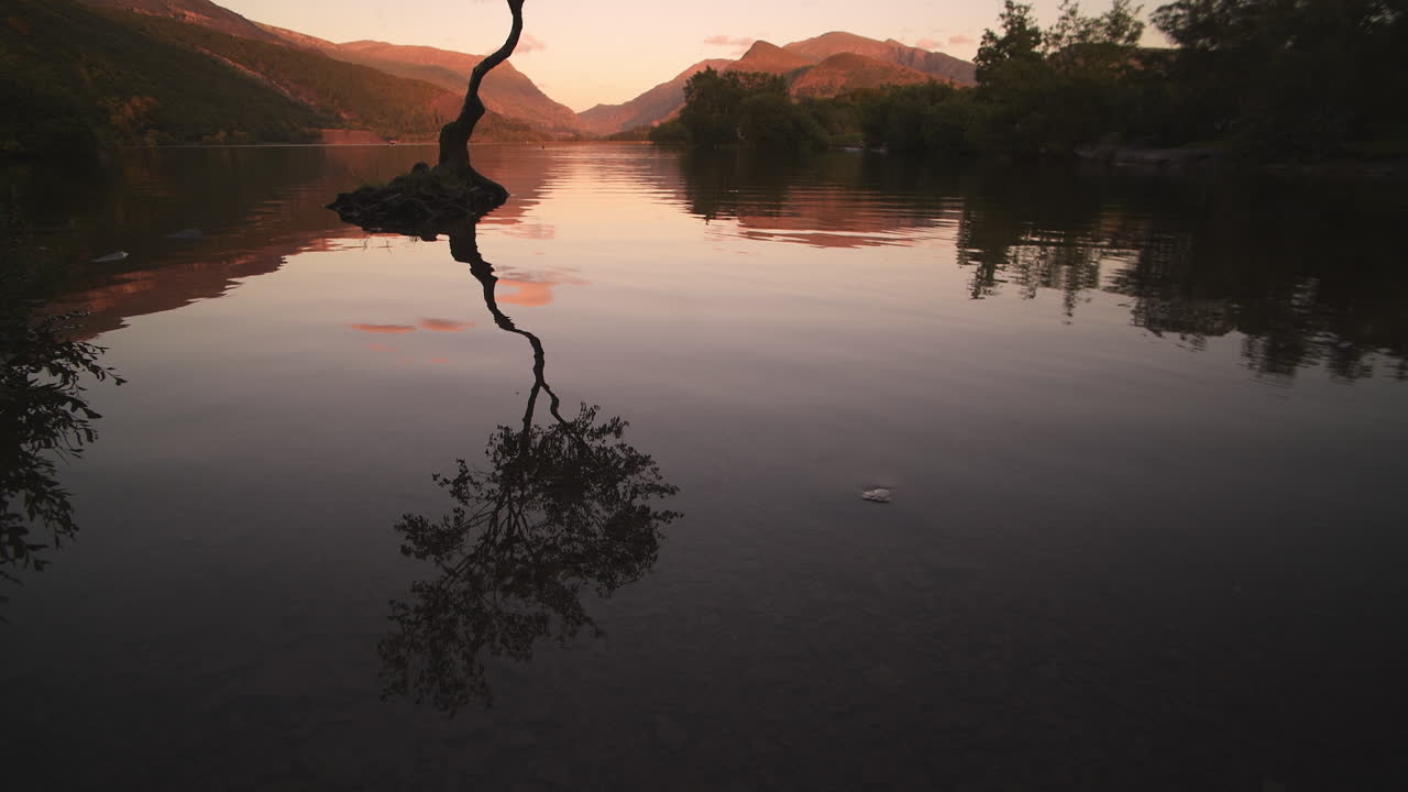 Calm Water Lake Reflection of Tree During Dramatic Colorful Sunset - Tilt up Reveal
