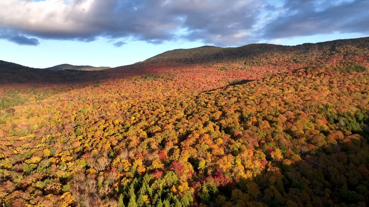 Aerial View of Autumn Foliage in Mountains