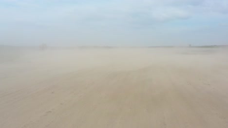 dust storm in the field. demolishes the fertile layer of black soil and crops.