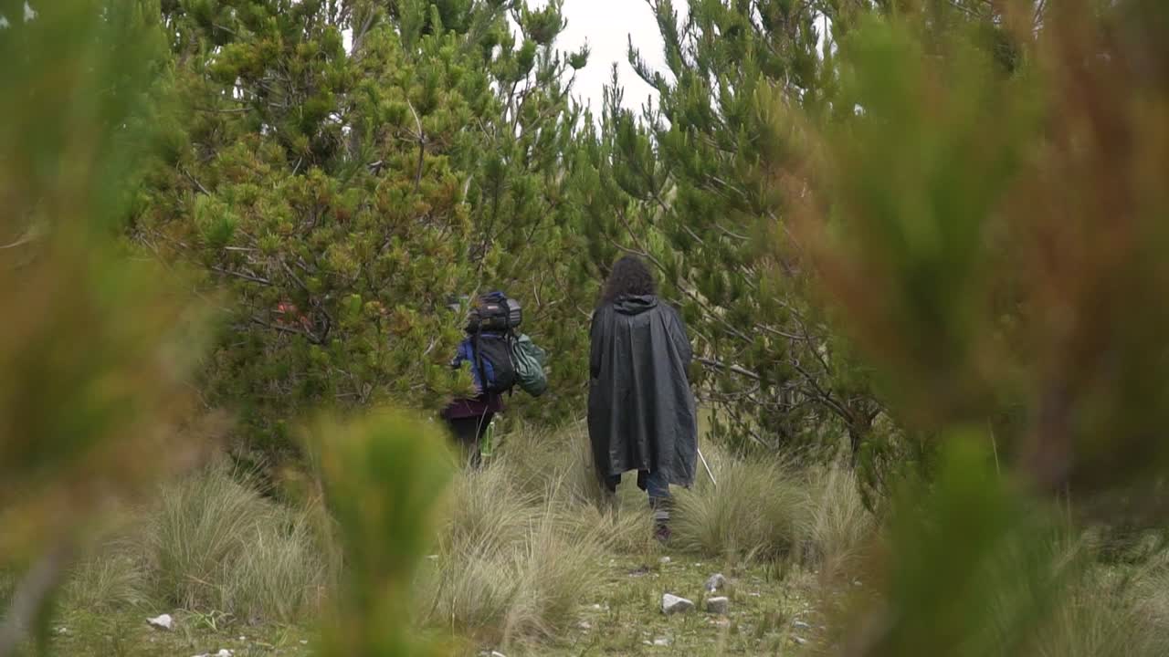 Woman In Black Raincoat Walking Away In The Wilderness Of Huaraz In Peru. slider shot