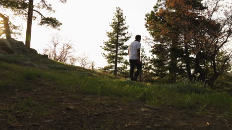 man strolls in sunny forest, long shot.