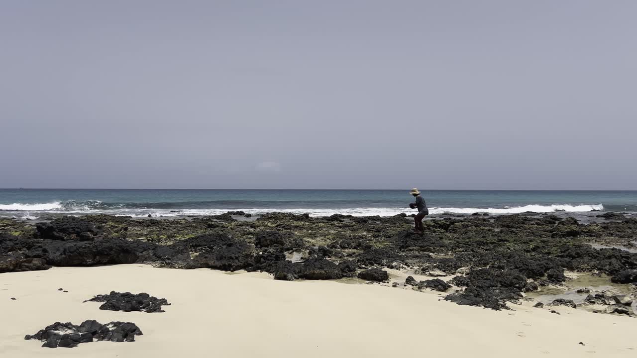 Person with hat gathering mussels along the rocky shoreline of Boa Vista, Cape Verde. The scene captures the island rugged coastal environment and traditional foraging practices