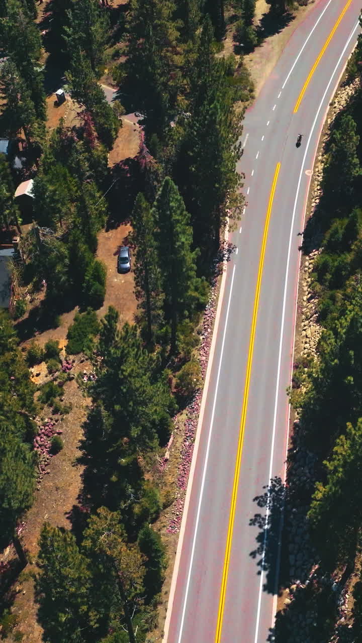 Private houses located in the pine tree wood. Drone descending over the highway passing through the forest on sunny day. Vertical video