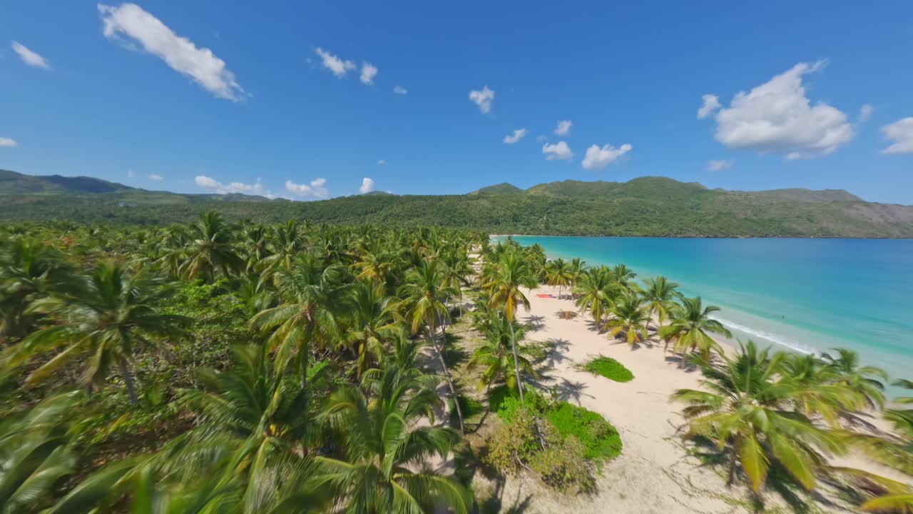 Paesaggio tropicale pittoresco su spiaggia sabbiosa del Mar dei Caraibi con piantagione di palme