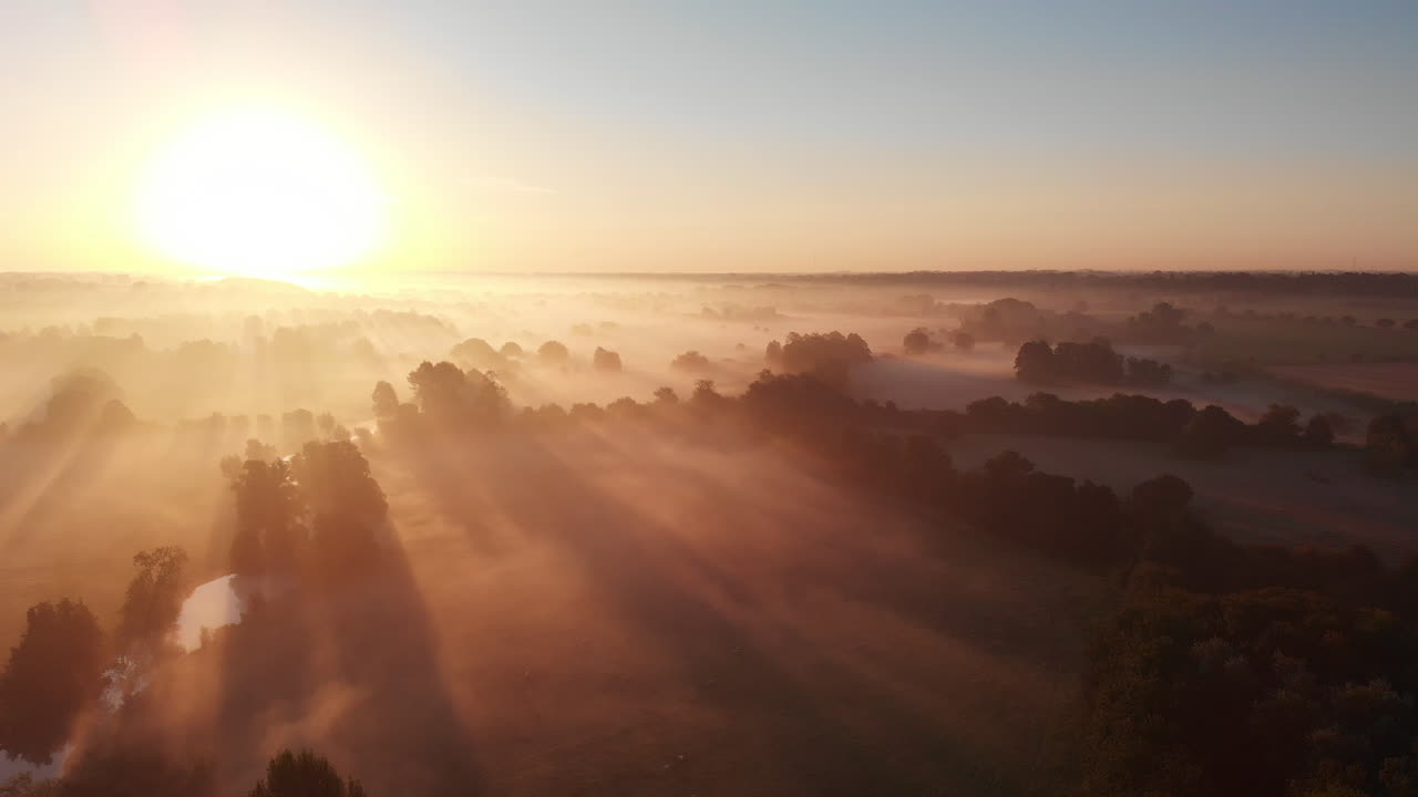 imágenes aéreas con una cámara moviéndose lateralmente a través de la campiña de east anglian con niebla baja justo después del amanecer y sombras proyectadas por los árboles