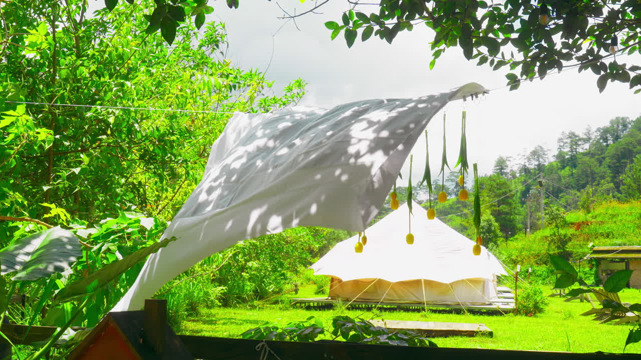Capture a white sheet fluttering in the morning forest breeze in this stock video. Hung to dry, it dances amid lush greenery, evoking serene simplicity