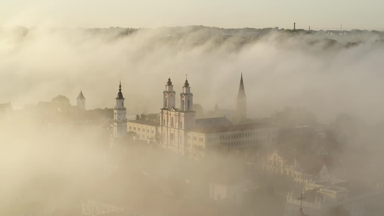 숲 위에 안개. 드론 조감도