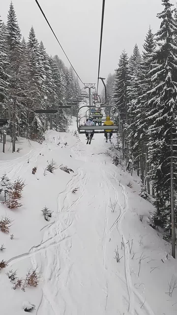 Vertical Video POV Skier On Chair Lift Across Snow Covered Mountain Trees