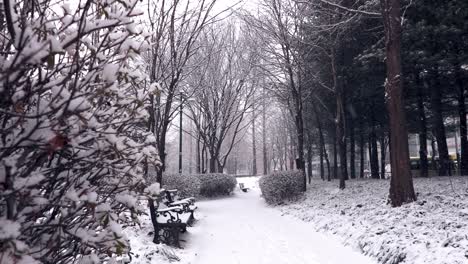 a snowy path through a park