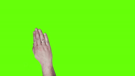 hand gestures on green screen background