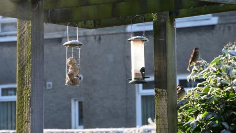 hot air from a house vent goes onto the bird feeder