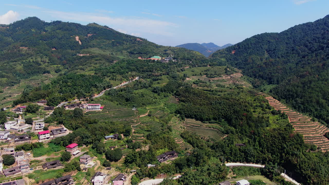 Vista Aérea de Plantação de Chá nas Montanhas