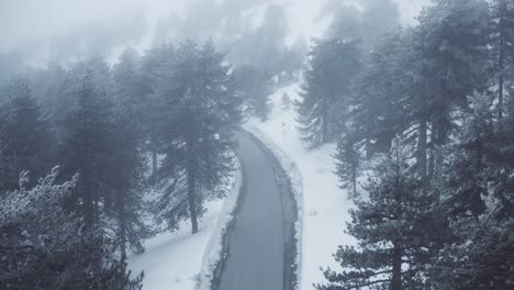 montañas nevadas y bosques de pinos en el mediterráneo