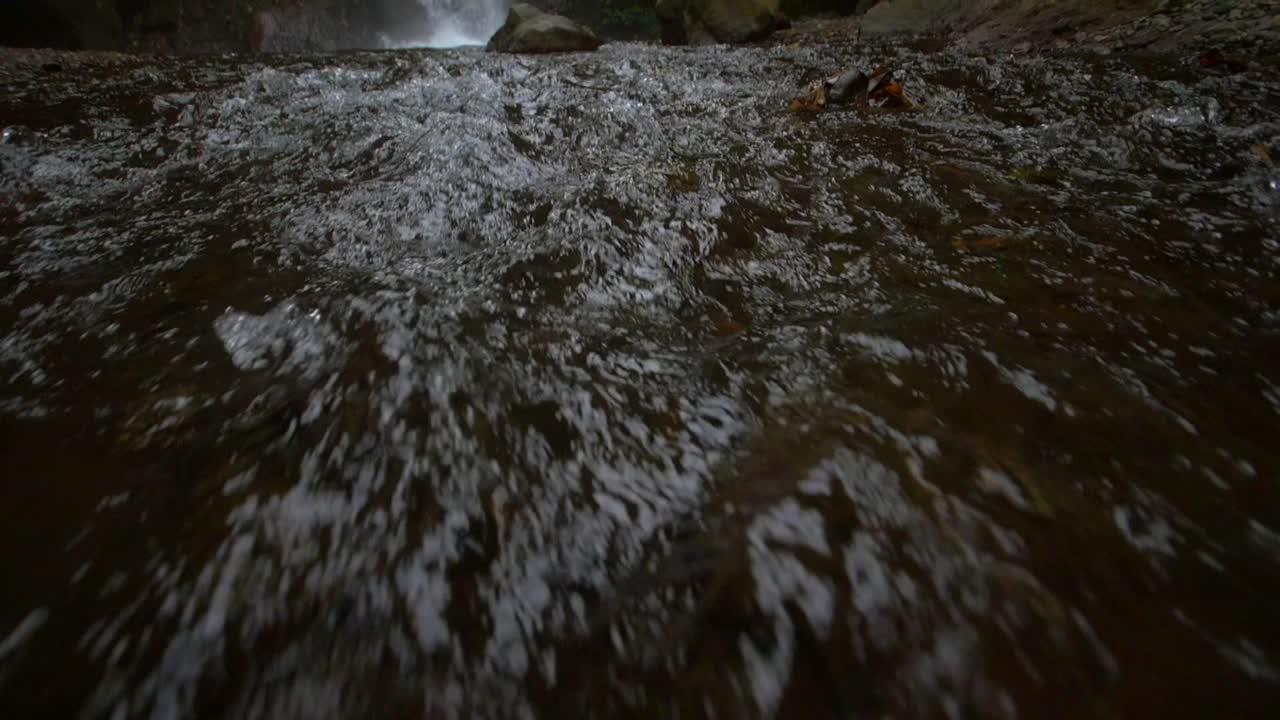 revelar toma de una cascada del bosque