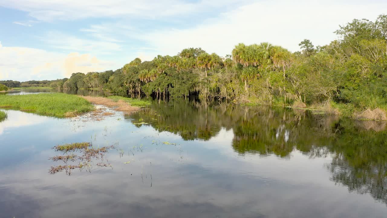 A tranquil river winds through a lush wetland, reflecting the surrounding trees and sky Myakka River Florida