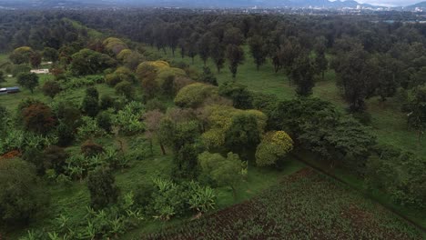 Vista-Aérea-De-La-Tierra-Agrícola-En-Arusha