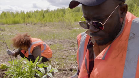 activiste écologiste afro-américain tenant de petits arbres dans la forêt