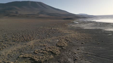 aerial drone above laguna colorada, brown sediment wetland in bolivian andean cordillera, scenic sky of unpolluted mother earth, natural wonder