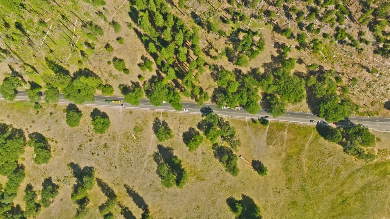 Overlooking Yosemite Valley in Background on a perfect sunny Summer Day