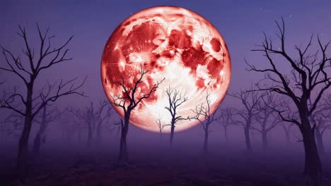 blood moon over spooky bare trees in fog