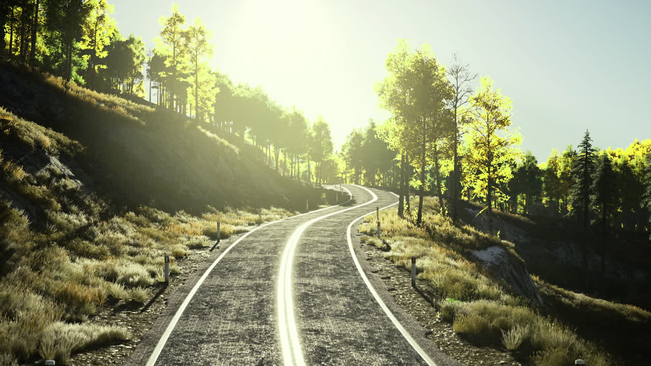 camino panorámico a través del bosque