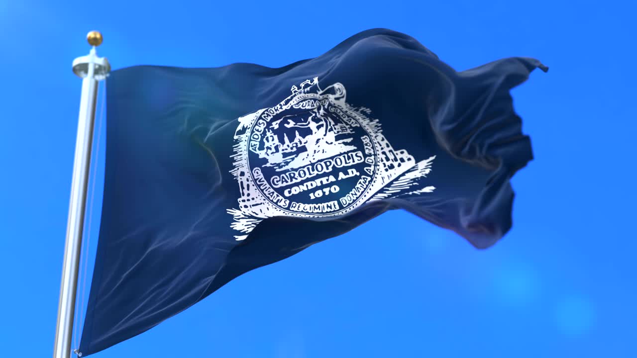 미국 사우스 캐롤라이나 주 찰스턴의 국기 - 루프