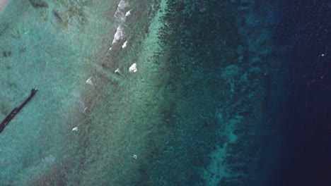 aerial eye’s bird view of coral shield beach blu ocean paradise in tropical resort paradise for holiday