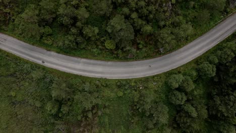 aerial top down shot of person walking on asphalt road in forest landscape of norway