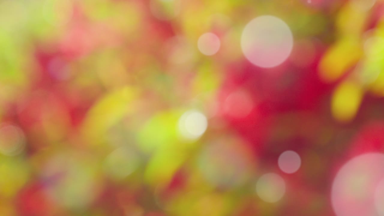 fondo de resorte abstracto con bokeh