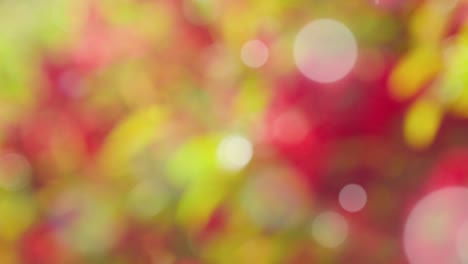 Abstract spring background with bokeh