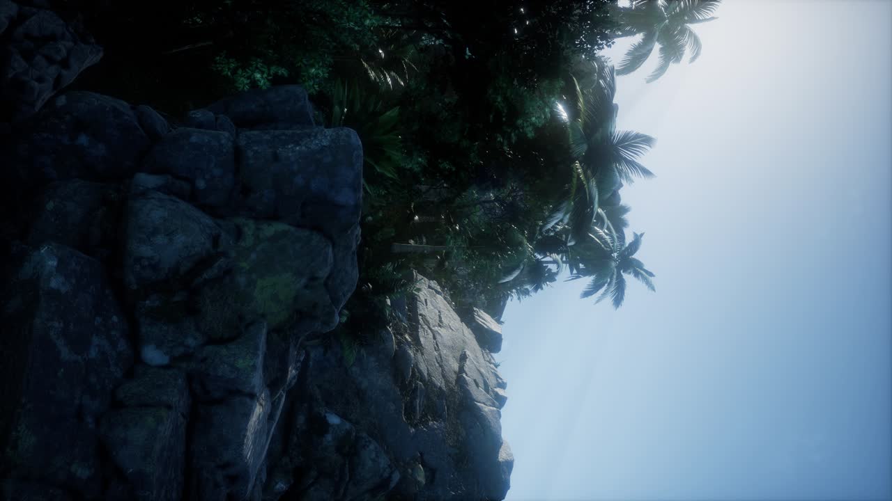 palmeras y montañas en la niebla