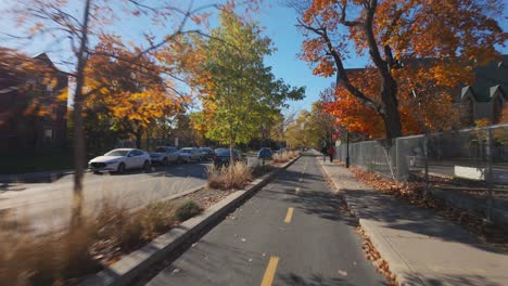 autumn foliage lines a quiet street in plateau district, showcasing its vibrant colors, pov along bike path