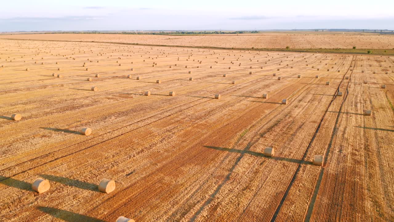 Shooting from a quadcopter flying over the golden field with roll bales of wheat straw.