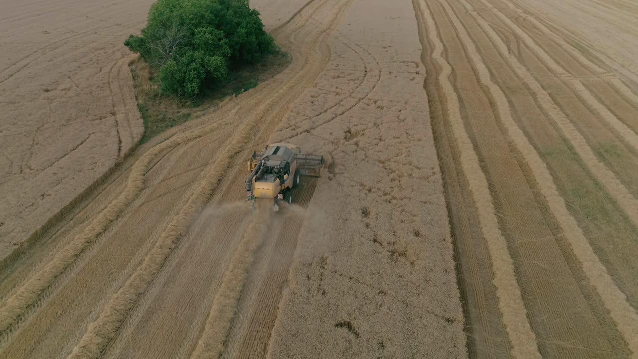 Aerial drone footage of Harvester machine working in field